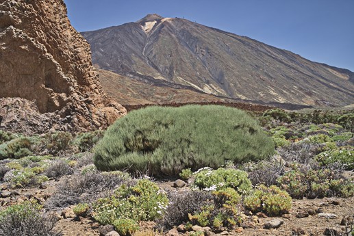 16 luglio Teide